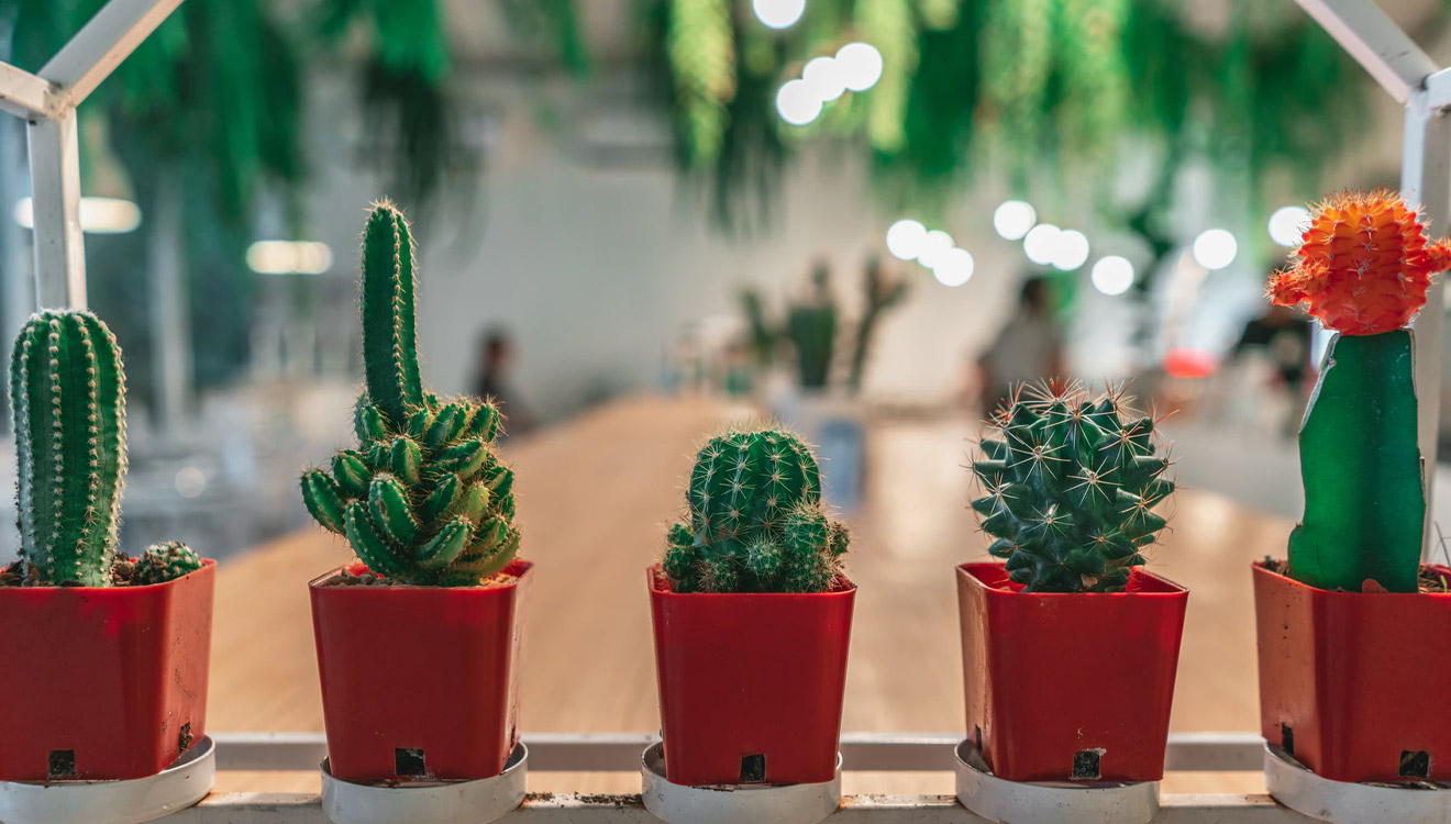 ONE PAGE WEBSITES SEO_CITY